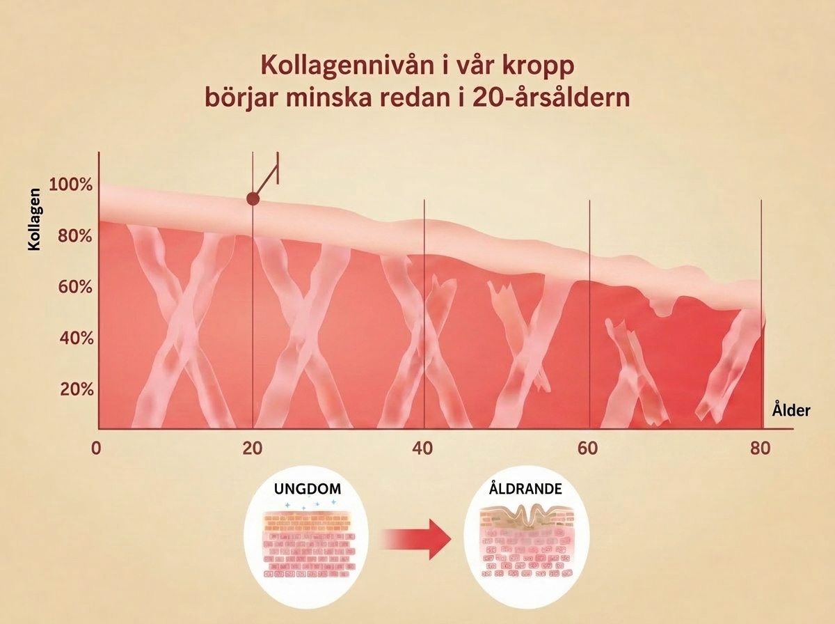 Vad ska kunna hjälpa då — BUILD med kollagenpeptider och C-vitamin